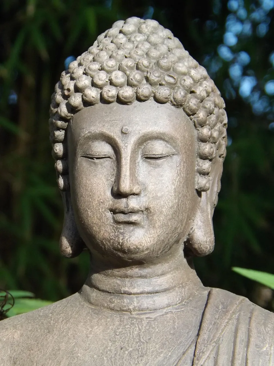 Vivek Shauq