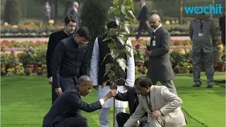 Obama's India Tree Hangs